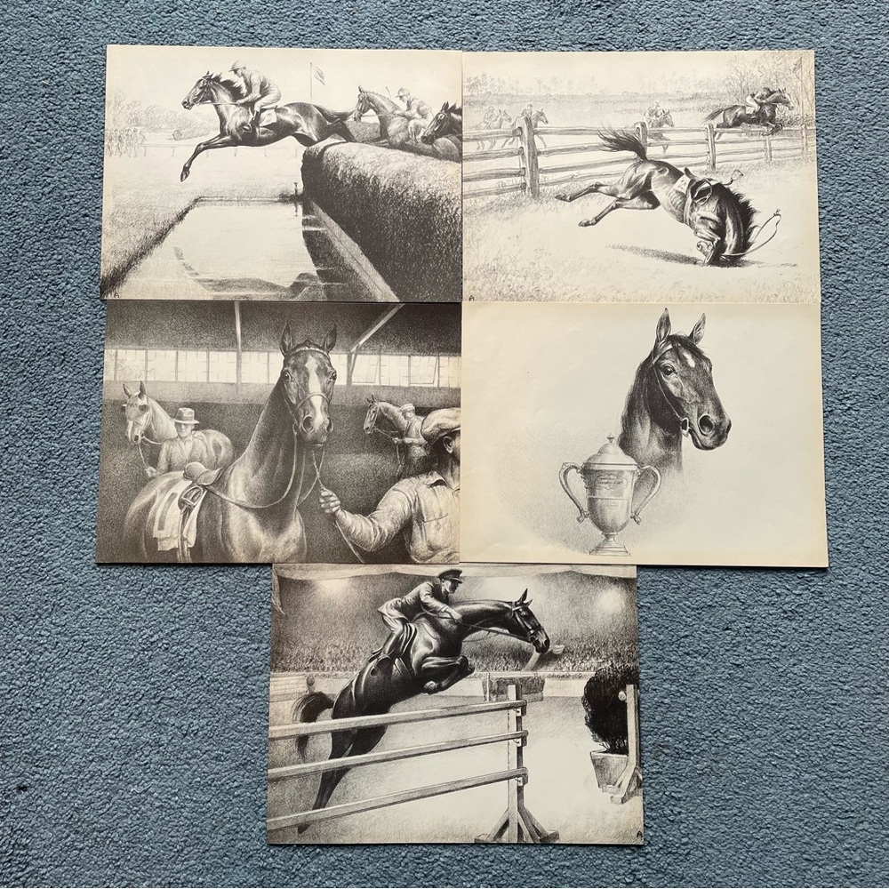 6 CW Anderson print book page horse racing thoroughbred jumper art decor 1939